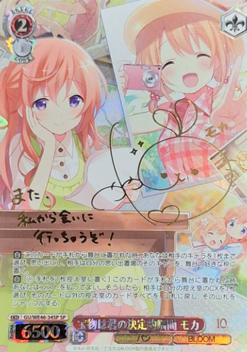 Mocha SP GU/WE46-34SP - Is the order a rabbit? 10th Anniversary