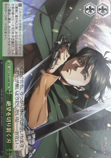 Levi RRR AOT/S50-048R - Attack on Titan Vol.2