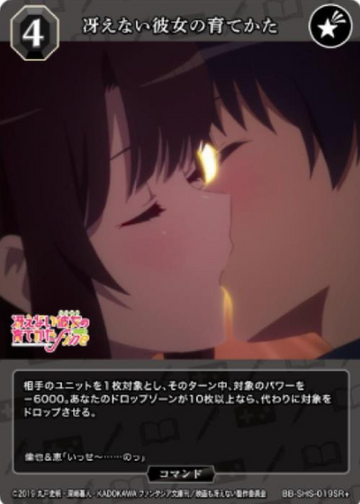 Megumi SR+ BB-SHS-019SR+