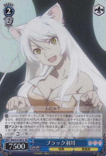Hanekawa Tsubasa SR BM/S15-081S - Monogatari Series Bakemonogatari