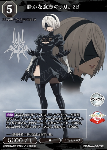 2B SR BB-NAA-010S