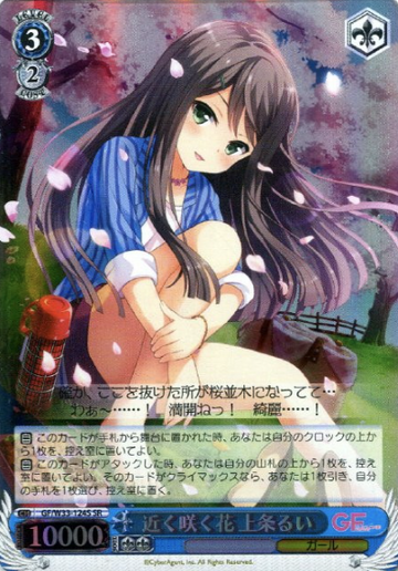 Kamijo Rui SR GF/W33-124S - Girl Friend Beta