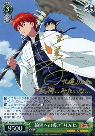Rinne SP KR/SE30-03SP - RIN-NE Extra