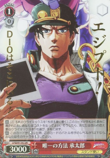 Jotaro JJR JJ/SE41-34J - JoJo's Bizarre Adventure Stardust Crusaders