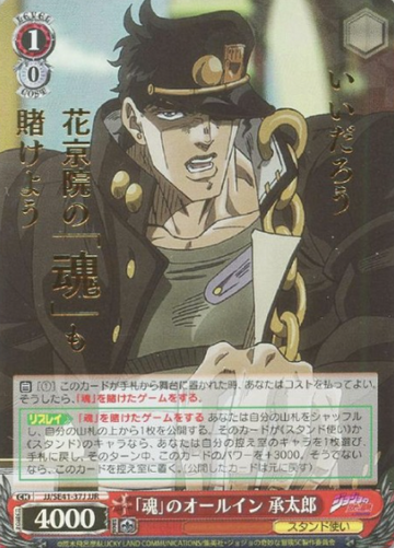 Jotaro JJR JJ/SE41-37J - JoJo's Bizarre Adventure Stardust Crusaders