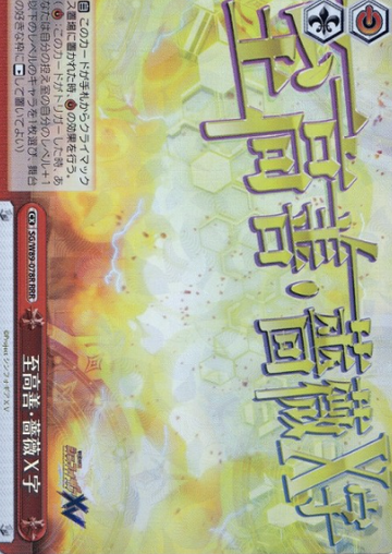 SG/W89-078R RRR