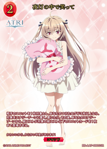 Atri SSR BB-AAP-080SSR