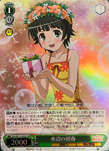 Uiharu (ID/W13) SR RG/W13-030S - A Certain Magical Index II Scientific Railgun