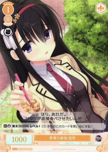 Hazuki SR OS01/R01-016S