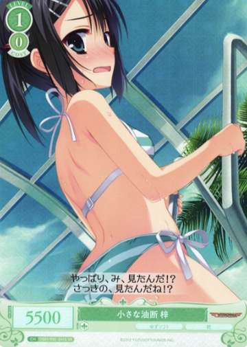 Azusa SR OS01/R01-041S