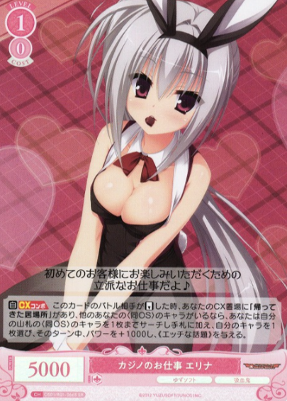 Erina SR OS01/R01-066S