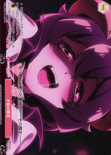 Magia Baiser PR OS02/R02-P09S