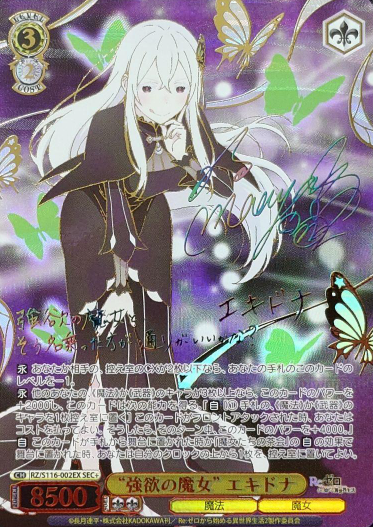 Echidna SEC+ RZ/S116-002EX - RE:ZERO STARTING LIFE IN ANOTHER WORLD vol.3