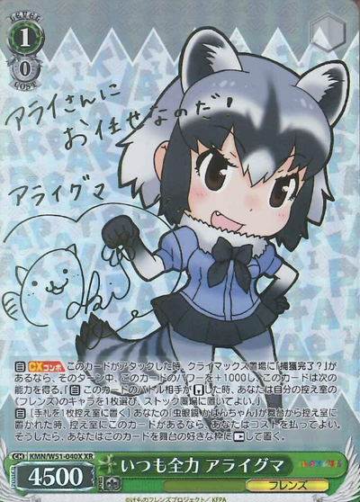 Raccoon XR KMN/W51-040X - Kemono Friends