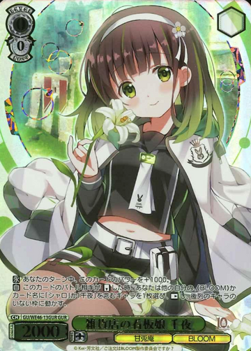 Chiya GUR GU/WE46-13GUR - Is the order a rabbit? 10th Anniversary