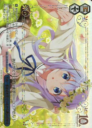 Chino GUR GU/WE46-66GUR - Is the order a rabbit? 10th Anniversary