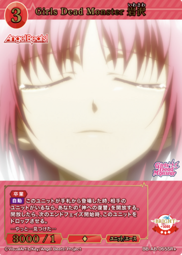 Iwasawa SR+ BB-AB-065SR+