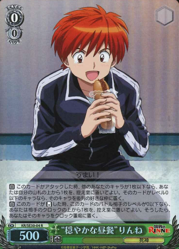 Rinne S-R KR/SE30-04 - RIN-NE Extra
