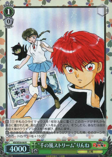 Rinne S-R KR/SE30-06 - RIN-NE Extra