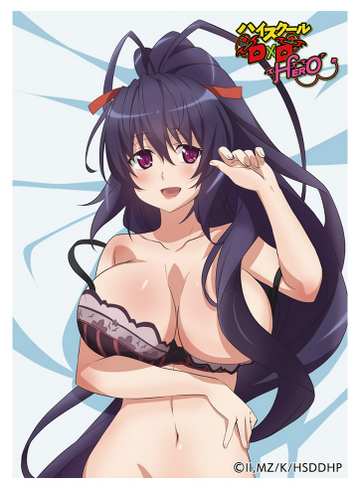 Exclusive Card Sleeves Himejima Akeno Pre-Order