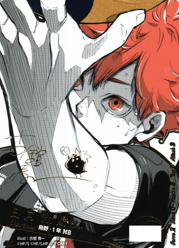 Hinata Syouyou VRP HV-P01-004 - VOBACA Haikyu!! HV-P03 Youth & Select Team Training Camp