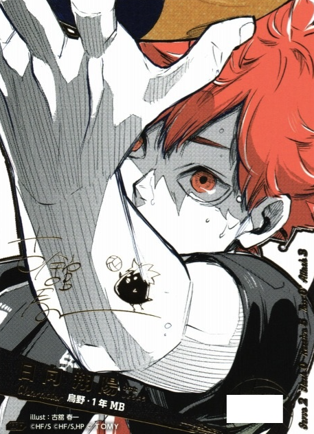 Hinata Syouyou VRP HV-P01-004 - VOBACA Haikyu!! HV-P03 Youth & Select Team Training Camp