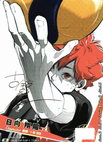 Hinata Syouyou VR HV-P01-004 - VOBACA Haikyu!! HV-P03 Youth & Select Team Training Camp