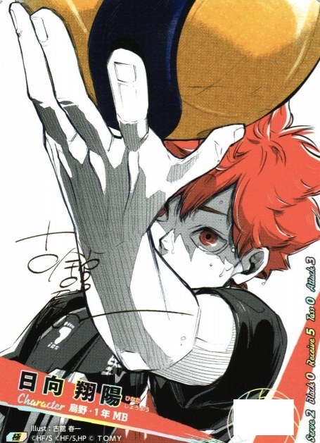 Hinata Syouyou VR HV-P01-004 - VOBACA Haikyu!! HV-P03 Youth & Select Team Training Camp
