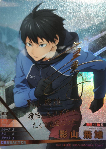 Kageyama Tobio S HV-P01-005 - VOBACA Haikyu!! HV-P03 Youth & Select Team Training Camp