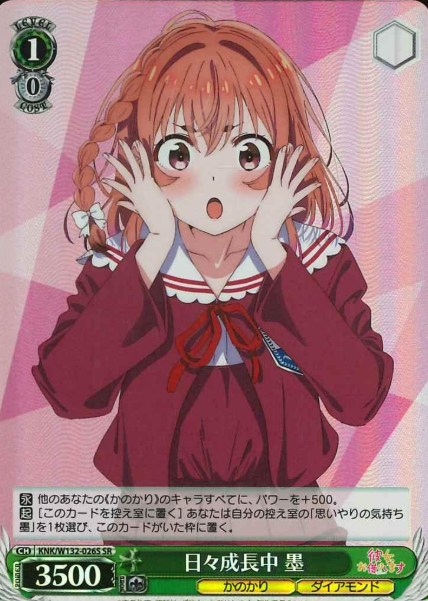 Sumi SR KNK/W132-026S - Rent a girlfriend vol.2