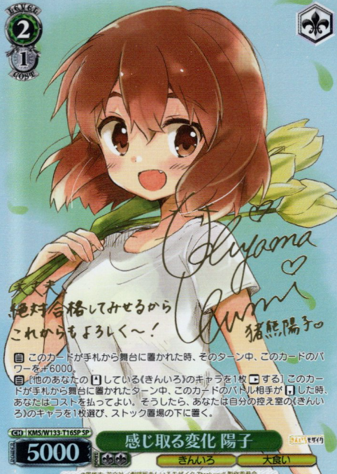 Youko SP KMS/W133-T16SP - Kiniro Mosaic 15th Anniversary