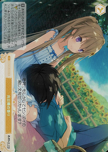 Mashiro SR OS05/R05-025S