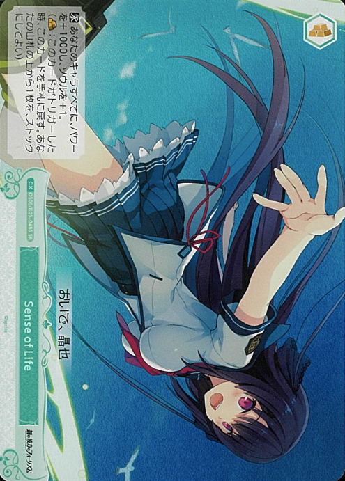 Misaki SR OS05/R05-048S