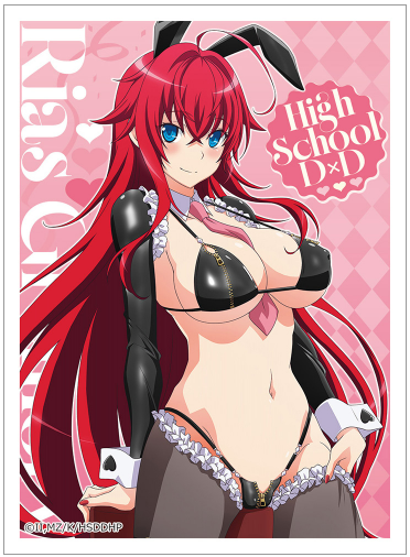 High School DxD HERO – Card Sleeves (Rias Gremory / Reverse Bunny) Pre-Order