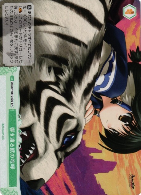 OS08/R08-049S SR