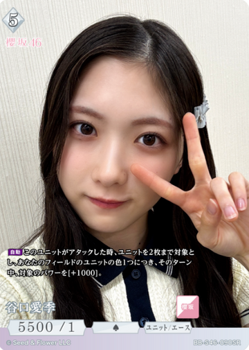 Taniguchi Airi SR BB-S46-090SR