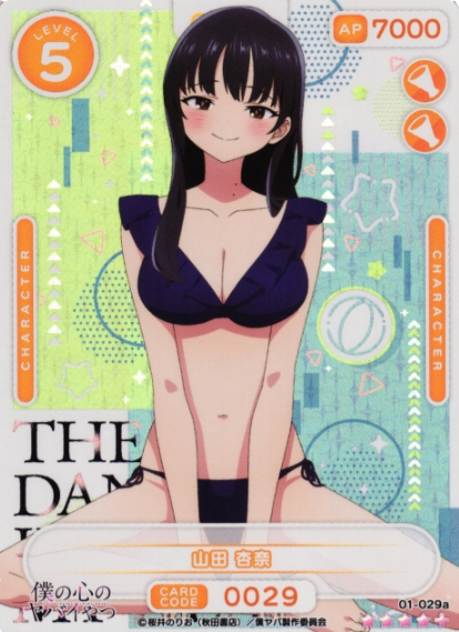 Yamada Anna SR+ 01-029a