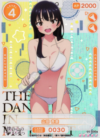 Yamada Anna SR+ 01-030a