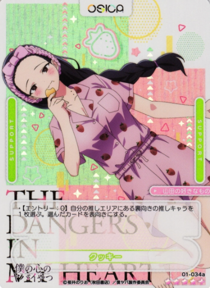 Yamada Anna SR+ 01-034a
