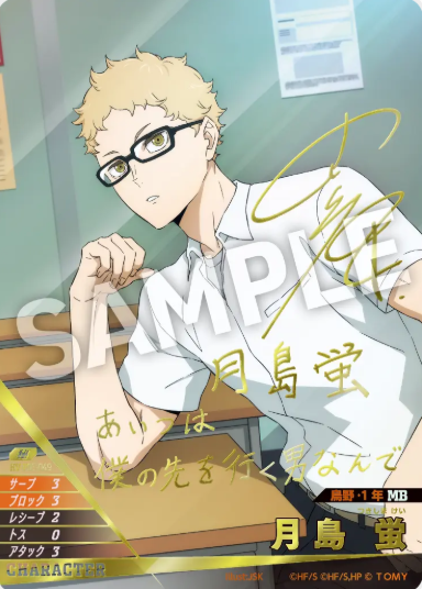 HV-P03-049 S Tsukishima Kei