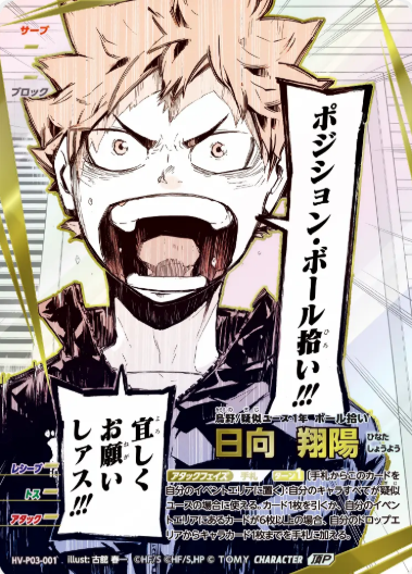 HV-P03-001 TP Hinata Syouyou