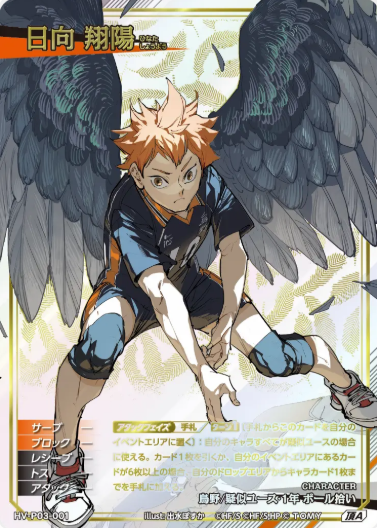 HV-P03-001 TA Hinata Syouyou