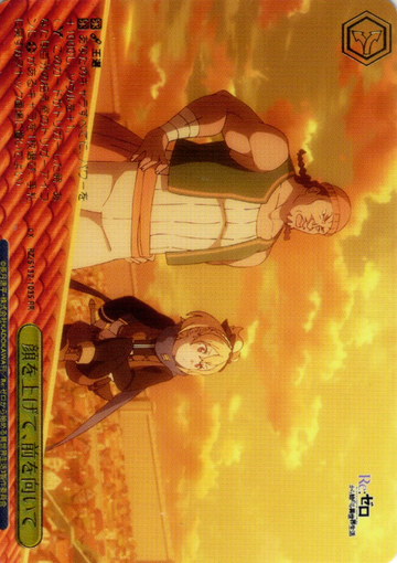 Felt PR RZ/S132-103S