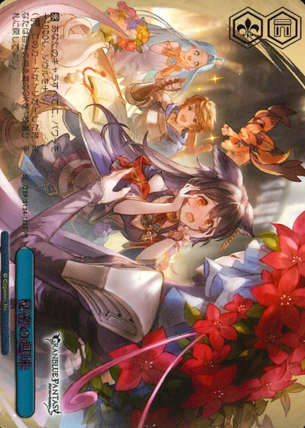 Secret Hobby PR GBF/S134-132S