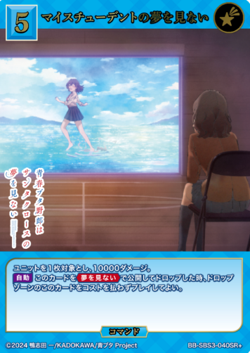 Himeji Sara SR+ BB-SBS3-040SR+