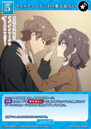 Himeji Sara SR BB-SBS3-040SR