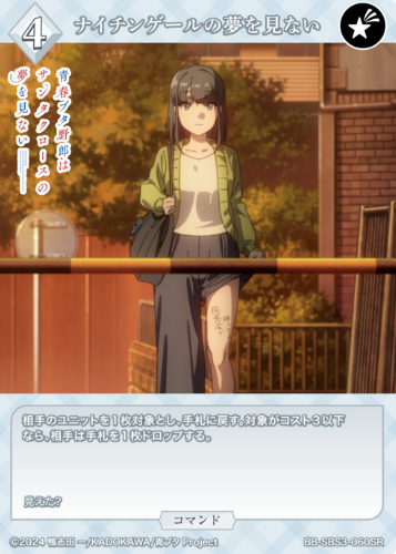 Akagi Ikumi SR BB-SBS3-060SR