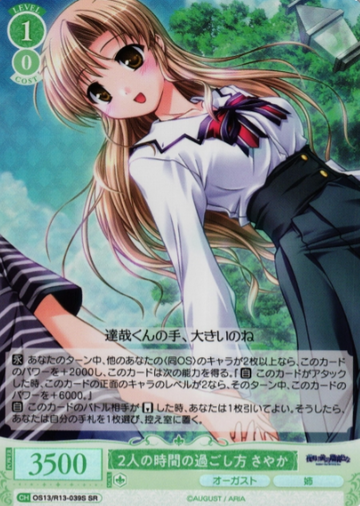 Sayaka SR OS13/R13-039S