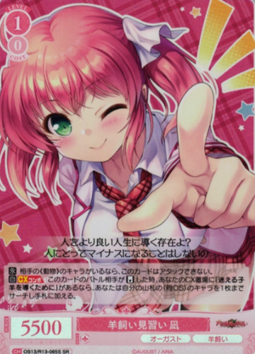 Nagi SR OS13/R13-065S
