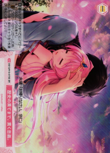 Akri SR OS13/R13-073S